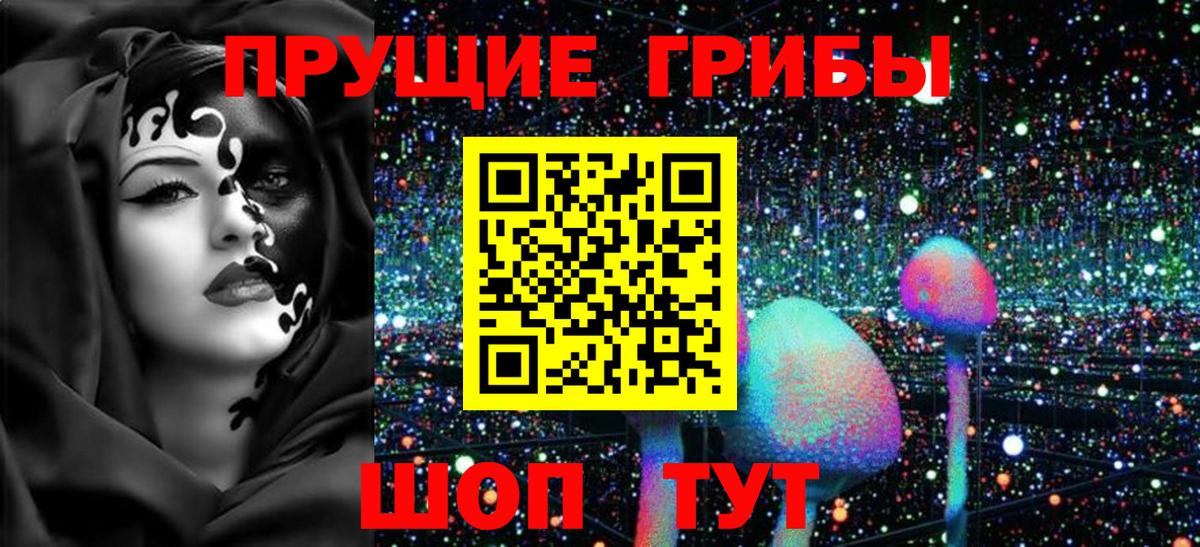 Белово  Псилоцибиновые грибы Psilocybine cubensis  Вход с VPN 