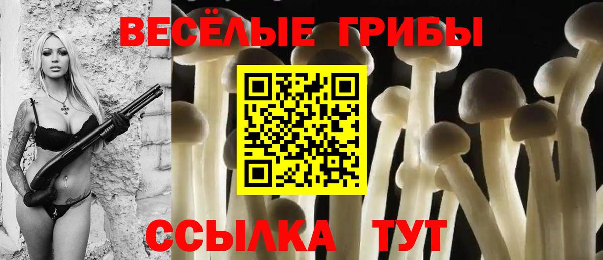 Псилоцибиновые грибы MAGIC MUSHROOMS Белово